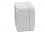 FIBOX EURONORD Carcasa Universal Gris