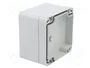 FIBOX EURONORD Carcasa Universal Gris