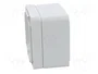 FIBOX EURONORD Carcasa Universal Gris