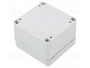 FIBOX EURONORD Carcasa Universal Gris