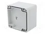FIBOX EURONORD Carcasa Universal Gris