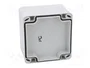 FIBOX EURONORD Carcasa Universal Gris