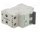 SCHNEIDER ELECTRIC Interruptor magnetotérmico Easy9 Pro 10A 2 polos 6kA