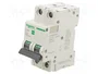 SCHNEIDER ELECTRIC Interruptor magnetotérmico Easy9 Pro 10A 2 polos 6kA