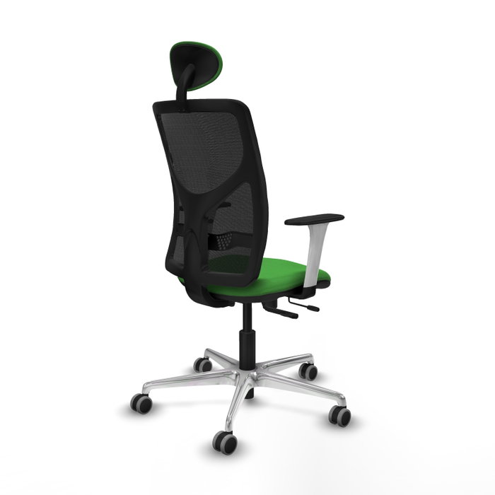 PIQUERAS Y CRESPO Silla de oficina Motilla con mecanismo Sincro/Traslack, Verde y Negro PIQUERAS Y CRESPO Silla de oficina Motilla con mecanismo Sincro/Traslack, Verde y Negro