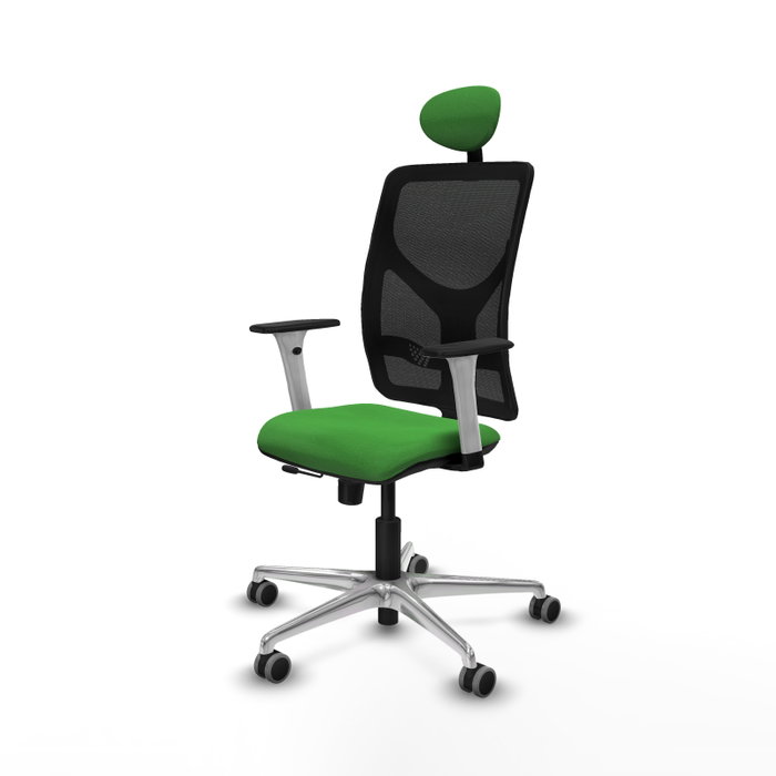 PIQUERAS Y CRESPO Silla de oficina Motilla con mecanismo Sincro/Traslack, Verde y Negro PIQUERAS Y CRESPO Silla de oficina Motilla con mecanismo Sincro/Traslack, Verde y Negro
