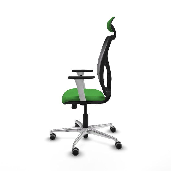 PIQUERAS Y CRESPO Silla de oficina Motilla con mecanismo Sincro/Traslack, Verde y Negro PIQUERAS Y CRESPO Silla de oficina Motilla con mecanismo Sincro/Traslack, Verde y Negro