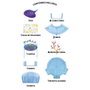 Toy Partner Acuario Zhu Zhu No Necesita Agua con Pez Especial, Arrecife de Coral y Decoración Submarina. Edad Mínima Recomendada: 4 Años