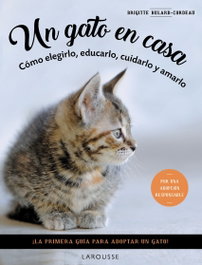 Un gato en casa, Brigitte Bulard-Cordeau - LAROUSSE