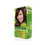 Naturtint Tinte Sin Amoniaco 4G-Castaño Dorado 170 ml
