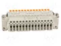 ILME Conector HDC CDSH Hembra 42+PE