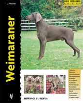 HISPANO EUROPEA Weimaraner (Excellence)