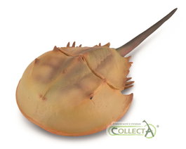 COLLECTA Cangrejo Herradura XL