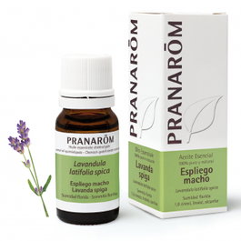 PRANAROM Aceite esencial de Espliego macho