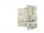 WIELAND Conector HDC Hembra 10 Pines Tamaño 10A