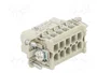 WIELAND Conector HDC Hembra 10 Pines Tamaño 10A