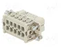 WIELAND Conector HDC Hembra 10 Pines Tamaño 10A