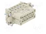 WIELAND Conector HDC Hembra 10 Pines Tamaño 10A