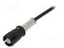 ESOL Antena de Techo para Automóviles 0,4m AM/FM