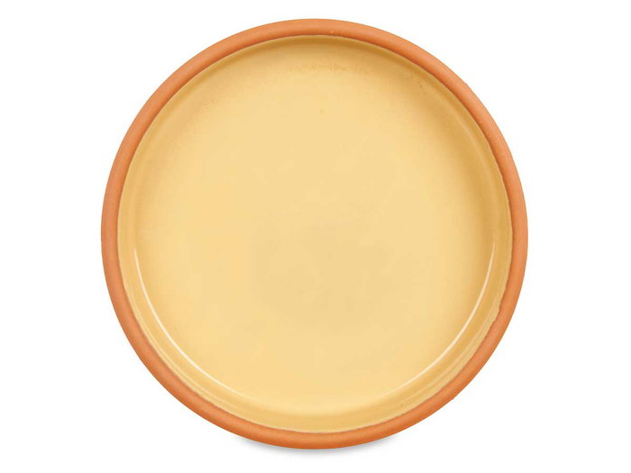 La Dehesa Cazuela Barro 23 cm Color Mostaza (Set de 10) La Dehesa Cazuela Barro 23 cm Color Mostaza (Set de 10)