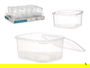 Leknes Fiambrera Rectangular de Plástico 1000 ml, Transparente, Cierre Hermético, Apto Microondas, 14.1 x 8 x 15.5 cm (Set de 12)