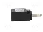 PIZZATO ELETTRICA FR 517-R30 Interruptor de fin de carrera