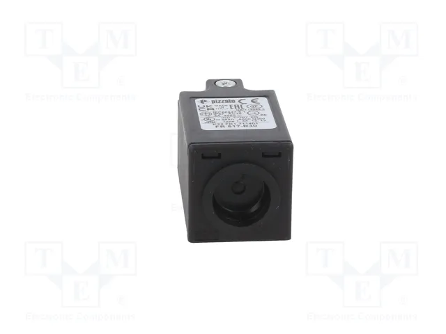 PIZZATO ELETTRICA FR 517-R30 Interruptor de fin de carrera PIZZATO ELETTRICA FR 517-R30 Interruptor de fin de carrera