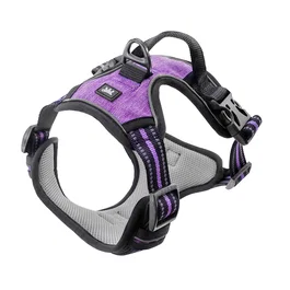 Ferplast Vigor L Harness Purple