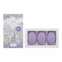 Woods of Windsor Set Trio Jabones de Masaje Lavender 3 x 60g