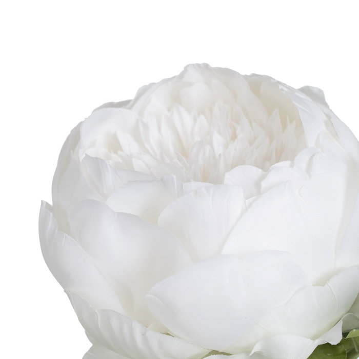 Flor Peonía Blanco Poliéster-Polietileno 66 cm (Set de 24)