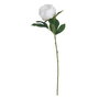 Flor Peonía Blanco Poliéster-Polietileno 66 cm (Set de 24)