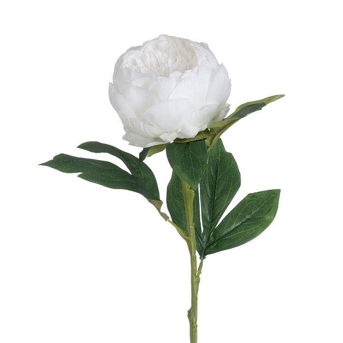 Flor Peonía Blanco Poliéster-Polietileno 66 cm (Set de 24)