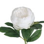 Flor Peonía Blanco Poliéster-Polietileno 66 cm (Set de 24)