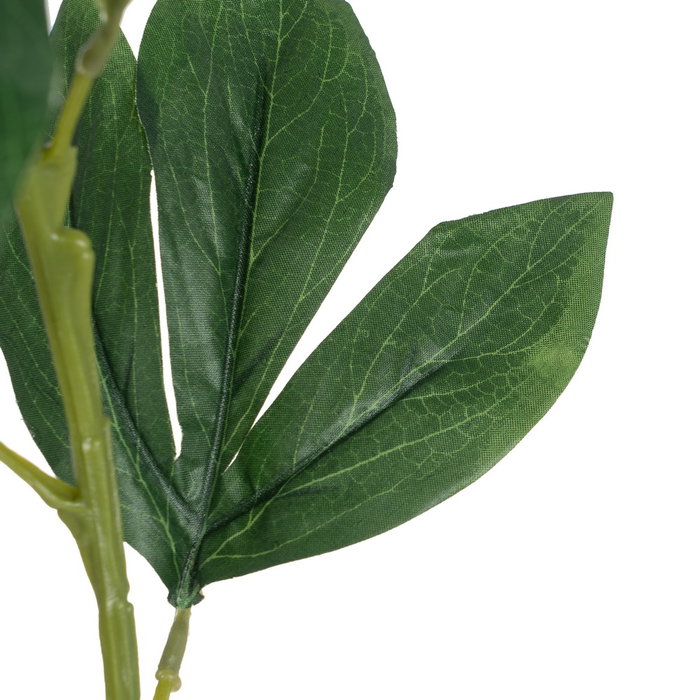 Flor Peonía Blanco Poliéster-Polietileno 66 cm (Set de 24)