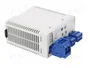 WAGO Interruptor magnetotérmico 2 polos 6A 24VDC