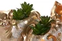 DKD Home Decor Planta Resina Gato Surtido 2