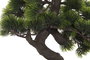 DKD Home Decor Árbol Bonsai Verde 43x20x41,5 cm