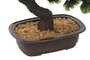 DKD Home Decor Árbol Bonsai Verde 43x20x41,5 cm