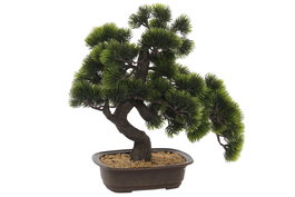 DKD Home Decor Árbol Bonsai Verde 43x20x41,5 cm