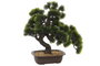 DKD Home Decor Árbol Bonsai Verde 43x20x41,5 cm
