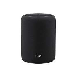 WiiM Sound LITE