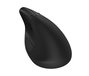 HP Ratón Ergonómico Vertical 925 Negro
