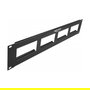 DeLOCK Patch Panel 19 Pulgadas Rack 2HE con 4 Recortes de 90.5x45.2mm, Negro Metálico, 482.6x87x13.1mm
