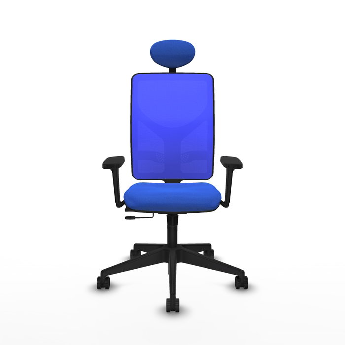 PIQUERAS Y CRESPO Silla de oficina Motilla con mecanismo Sincro/Traslack, Azul PIQUERAS Y CRESPO Silla de oficina Motilla con mecanismo Sincro/Traslack, Azul