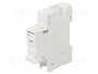 SCHNEIDER ELECTRIC Disyuntor de tensión 12-24V AC/DC para raíl DIN