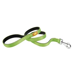 Ferplast Correa Dual G25 110 Verde