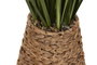 DKD Home Decor Planta de PE y Fibra Verde 60x60x130 cm
