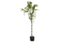 DKD Home Decor Árbol de Poliester Cercis chinensis 50x50x160 cm