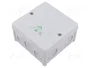Günther Spelsberg GmbH+Co.KG Abox 040-L IP66