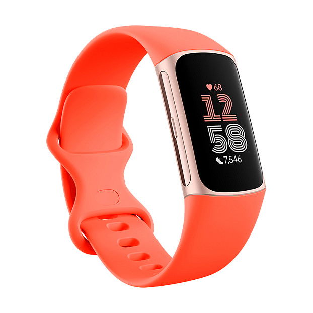 Fitbit Charge 6 Wearable GA05184-EU Reloj Inteligente / Pulsera de Actividad Color Coral